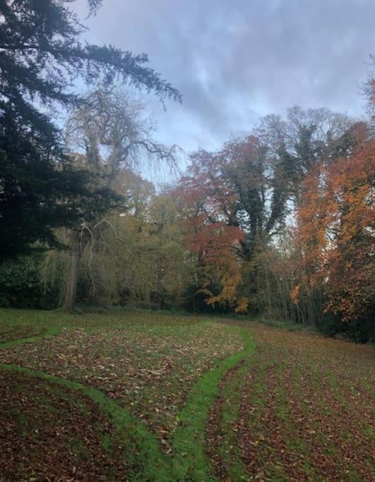 Springwood - Royal Hillsborough Villa Dış mekan fotoğraf