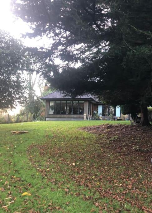 Springwood - Royal Hillsborough Villa Dış mekan fotoğraf