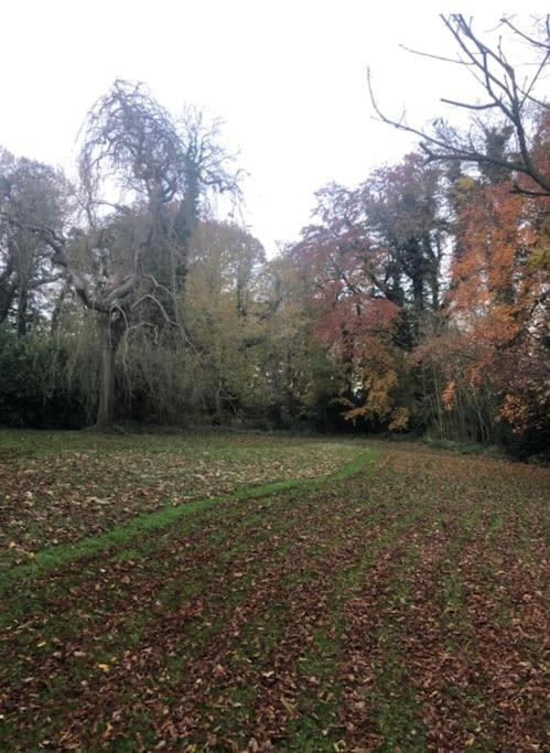 Springwood - Royal Hillsborough Villa Dış mekan fotoğraf