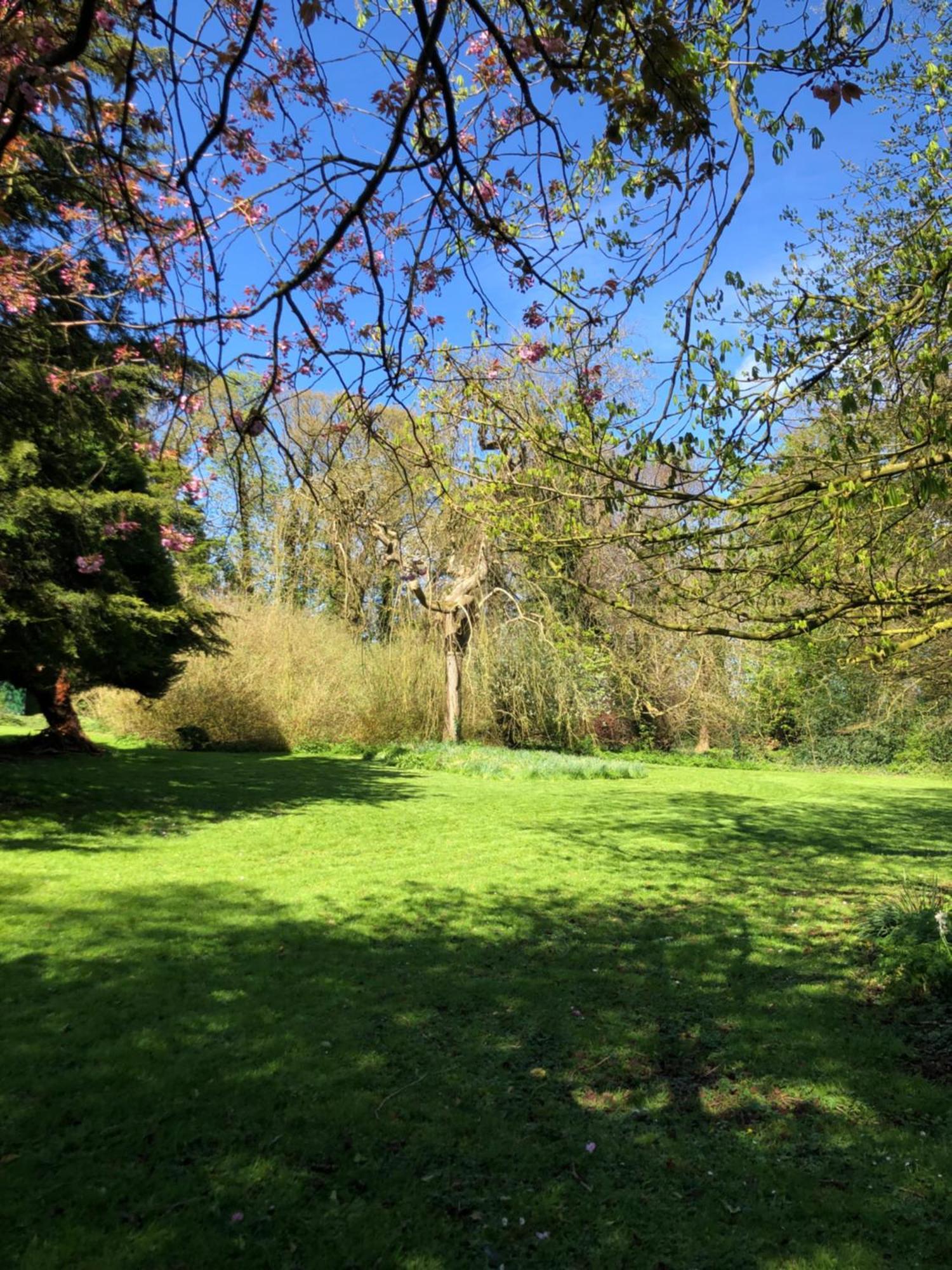 Springwood - Royal Hillsborough Villa Dış mekan fotoğraf